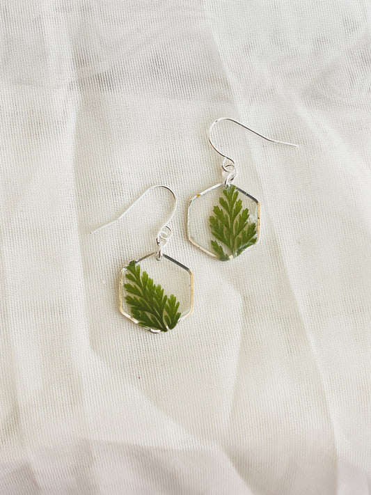 SILVER FERN HEXAGON DANGLES - Style B